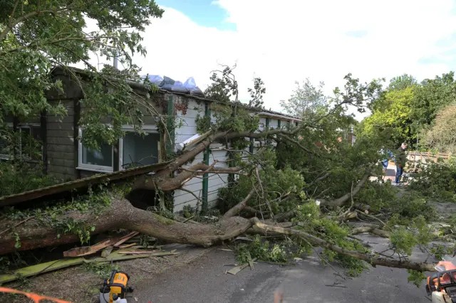 Fallen tree hits Leverstock Green Tennis Club