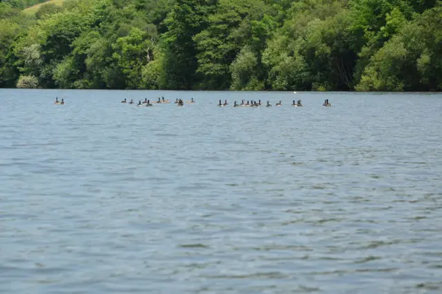 Rudyard Lake