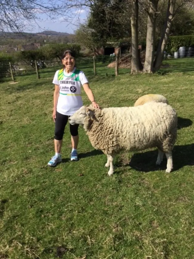 Dr Cheryle Berry with sheep