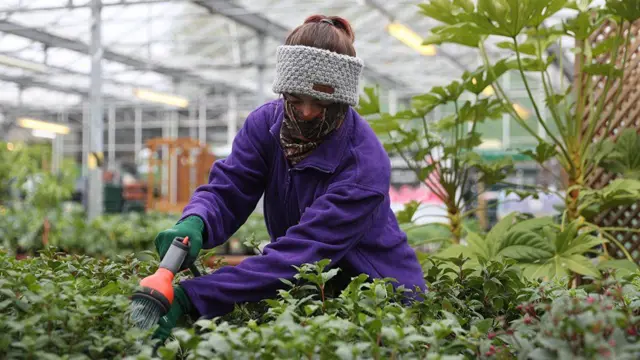 At this garden centre near Basingstoke, the staff cover their faces with masks or scarves.