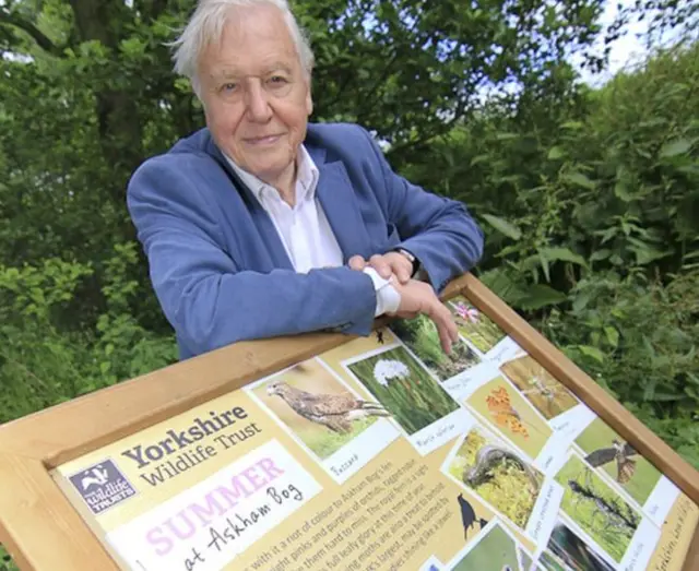 David Attenborough at Askham Bog