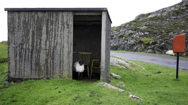 Rural bus stop