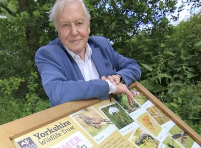 David Attenborough