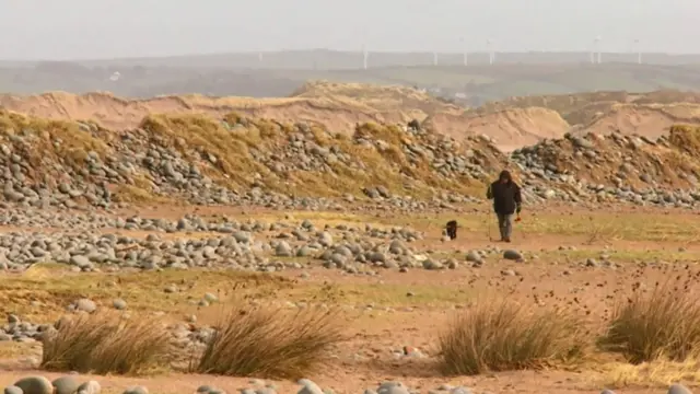 Northam Burrows