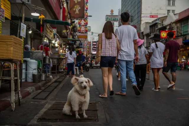 A dog stands next to a street food stall in Chinatown on May 17, 2020 in Bangkok, Thailand