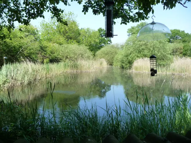 Wicken Fen