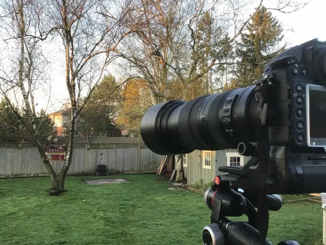 Daryl Granger and his wife set the stage for a squirrel photo shoot in their backyard