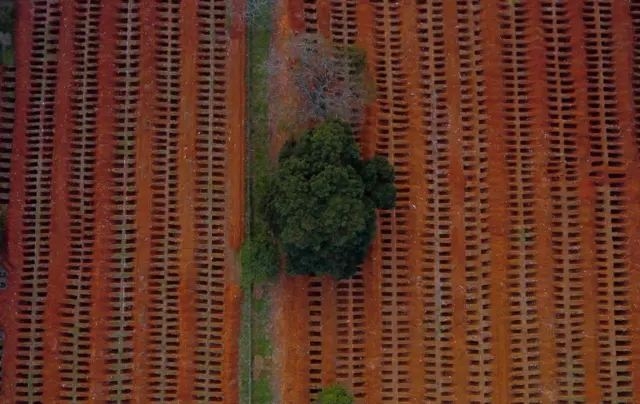 An aerial view of open graves amid the coronavirus pandemic at Vila Formosa Cemetery in Brazil