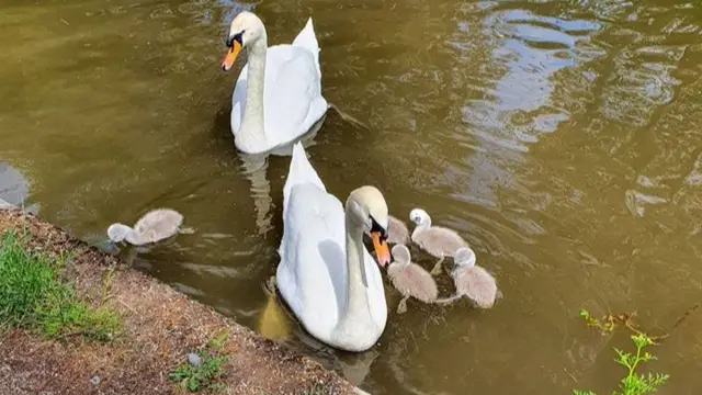 Taken by the canal in Coventry at the weekend