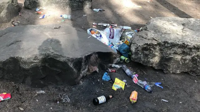 Litter at Sherwood Pines