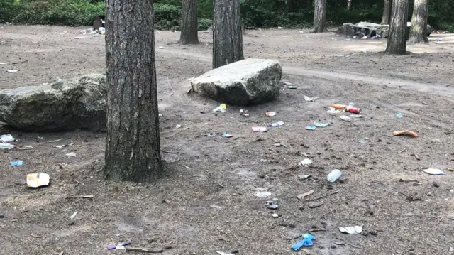 Litter at Sherwood Pines