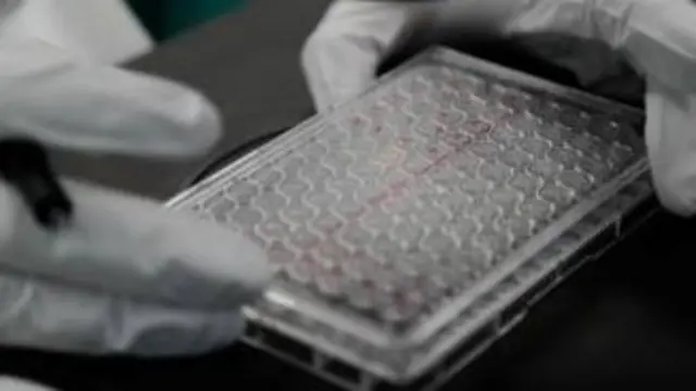 A tray of lab samples