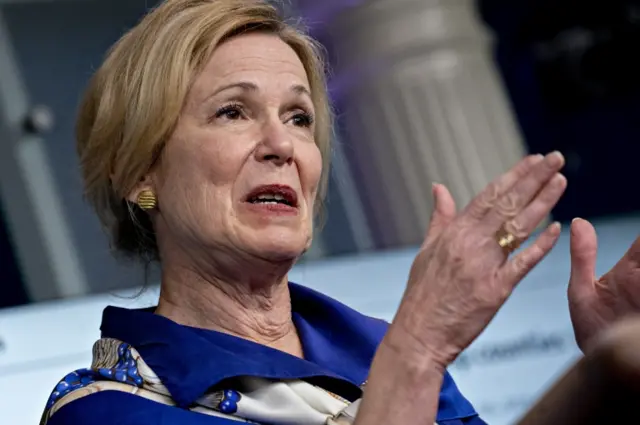 White House coronavirus response co-ordinator Deborah Birx, 22 May 2020