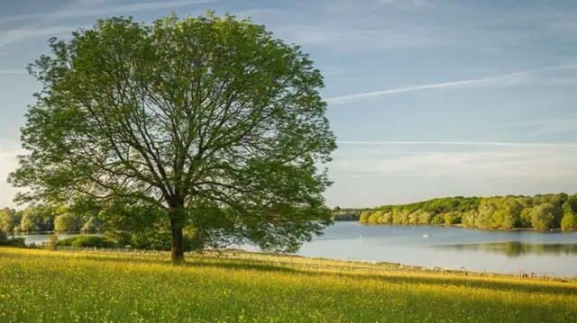 Pitsford Water