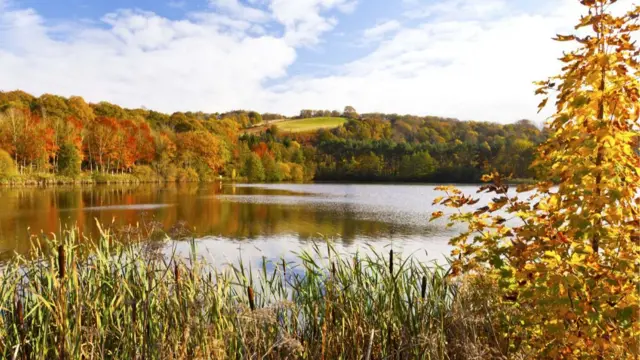 Trimpley, Worcestershire