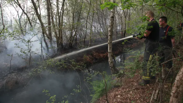 Firefighters at the scene