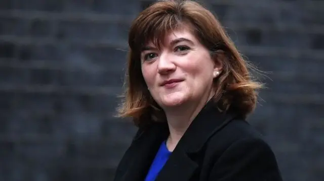 Baroness Morgan served in Boris Johnson's cabinet