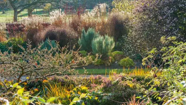 Cambridge University Botanic Garden