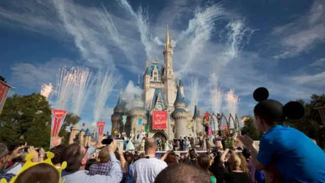 Fireworks at a Disney park in Florida