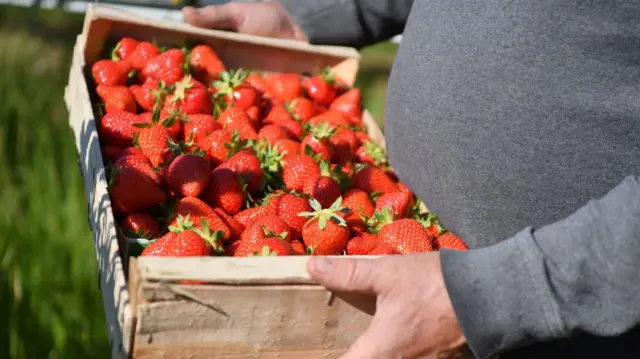 Strawberries