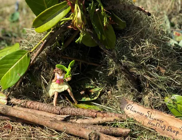 Fairy garden