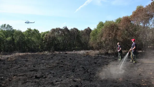 Firefighters at the scene