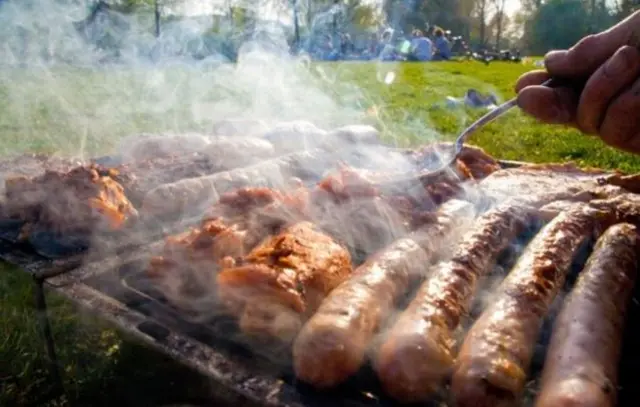 Barbecue in park