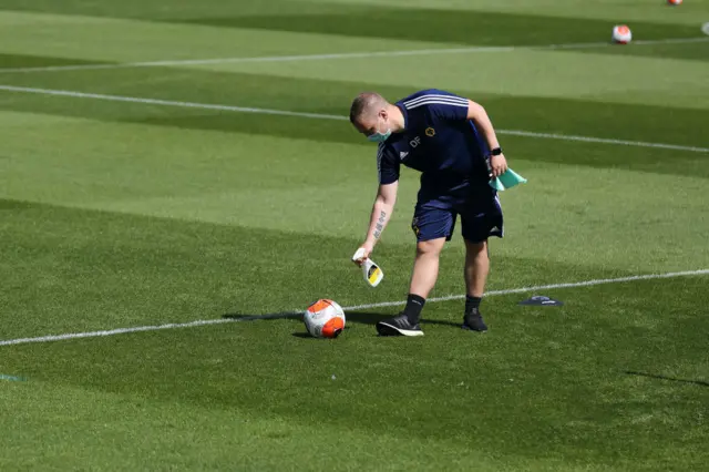 Wolves training