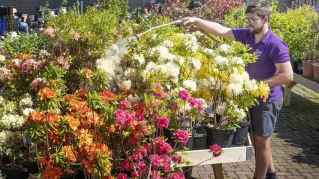 Garden centres are now allowed to open