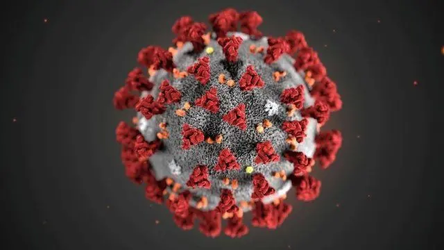 Coronavirus graphic