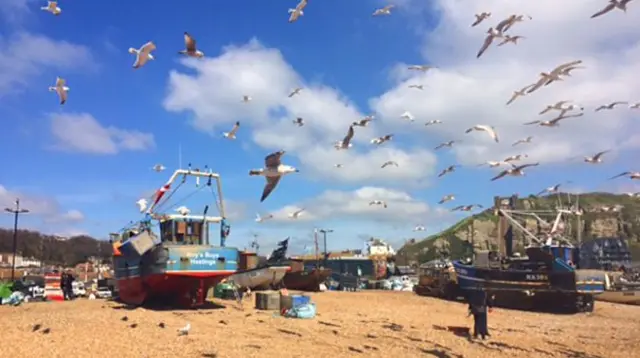 Hastings beach