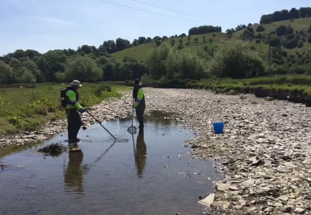 Environment Agency staff in dried up river