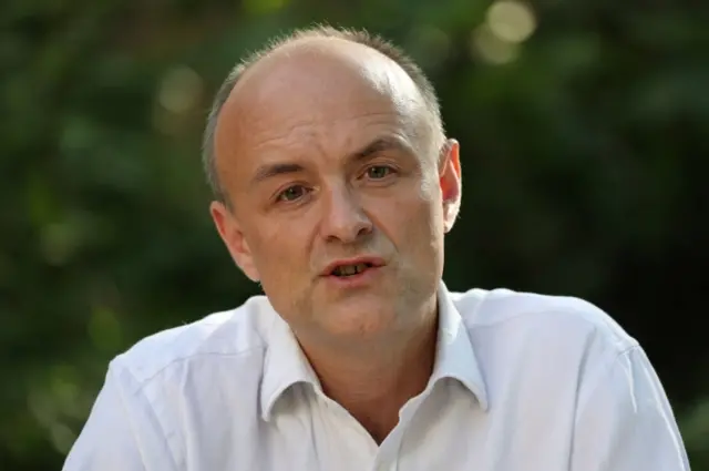 Dominic Cummings in the rose garden at Downing Street