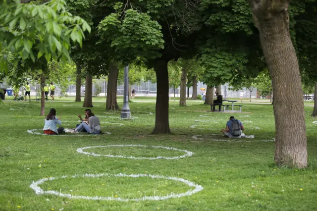 Trinity Bellwoods Park has painted park circles