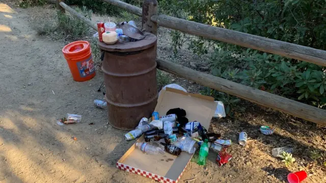 an overflowing rubbish bin in the park