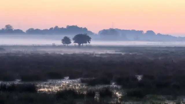 Wicken Fen