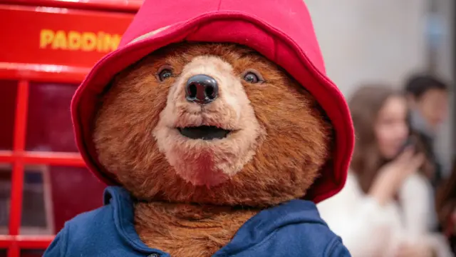 Paddington Bear