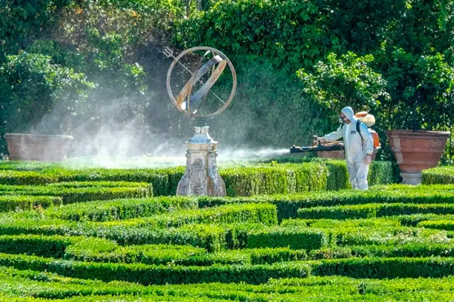 An employee sprays box trees in the park of the Villa Doria Pamphili in Rome