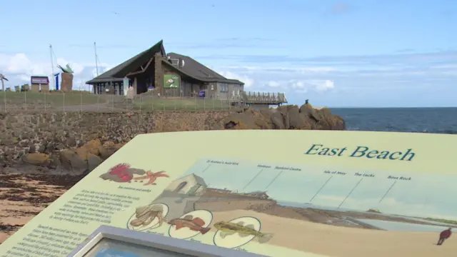 Scottish Seabird Centre