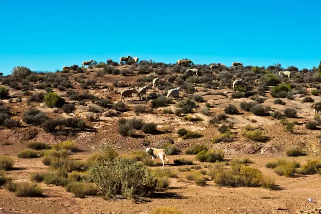 The Hopi Indian Reservation is in Arizona, US - the community need clean water, food and health supplies