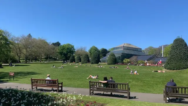 Sunbathers in the Botanics