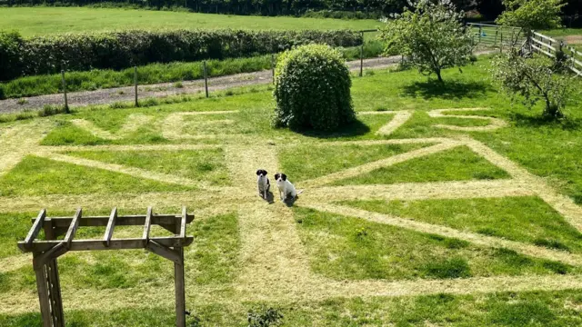 Rhys and Laura Jones garden