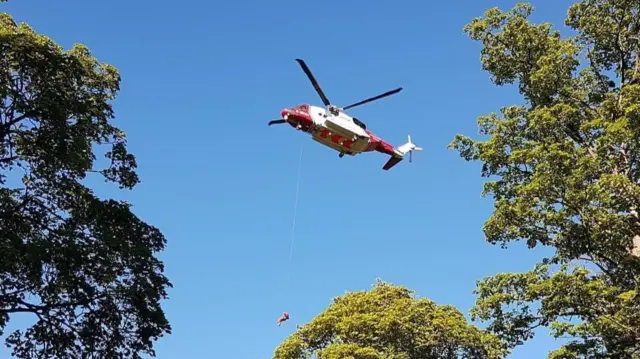 Rescue at Thomason Foss