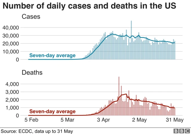 Number of daily cases and deaths in the United States