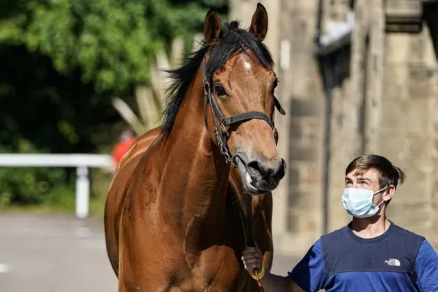 A horse with a groom at Newcastle