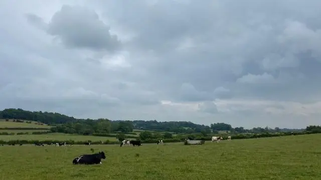 Totmonslow, Staffordshire, on Thursday afternoon