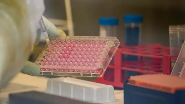 A laboratory technician in Germany working on the development of artificial antibodies for immune therapies