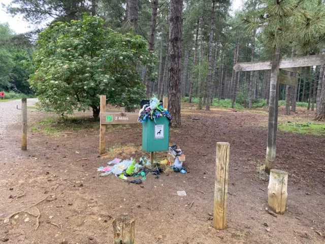 Overflowing dog bin