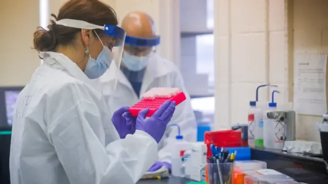 Scientists working on virus tests