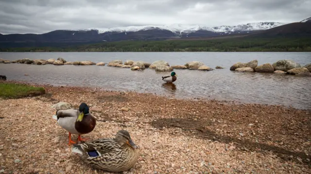 Loch Morlich, Cairngorms